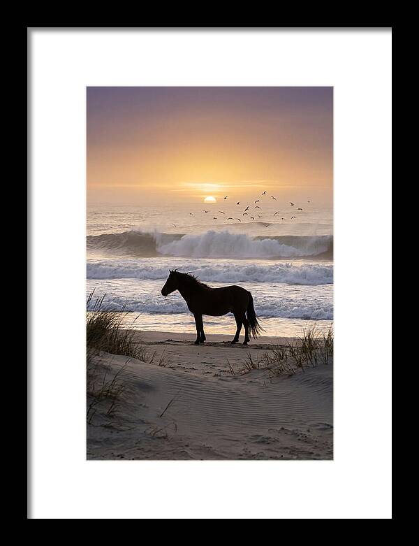 Assateague Island Serenity