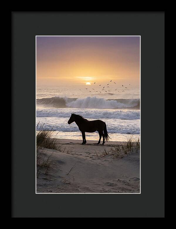 Assateague Island Serenity