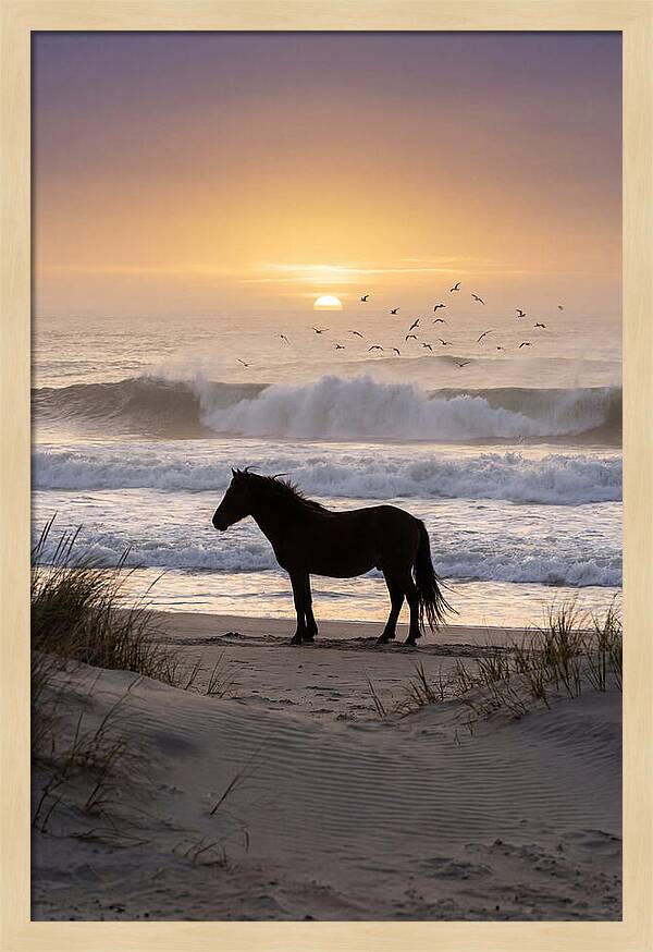 Assateague Island Serenity