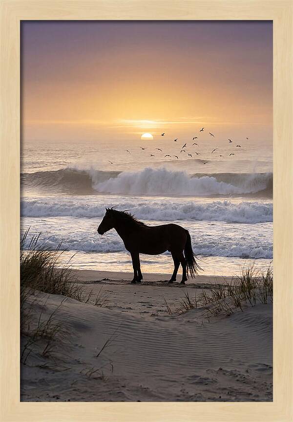 Assateague Island Serenity