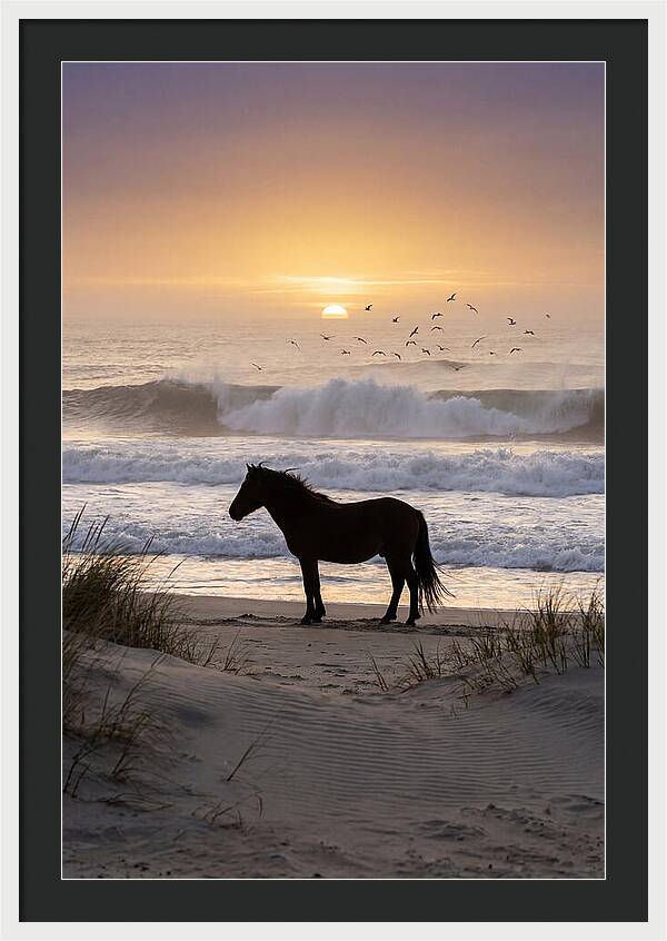 Assateague Island Serenity