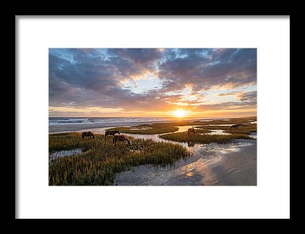 Assateague Island Tranquility
