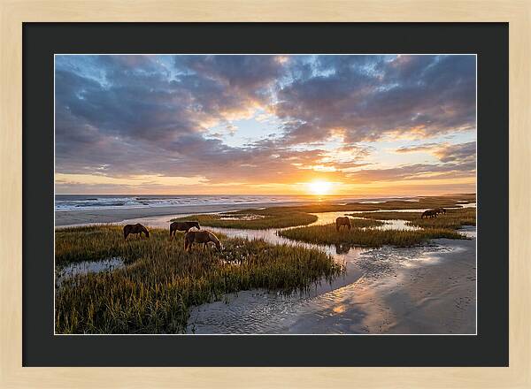Assateague Island Tranquility