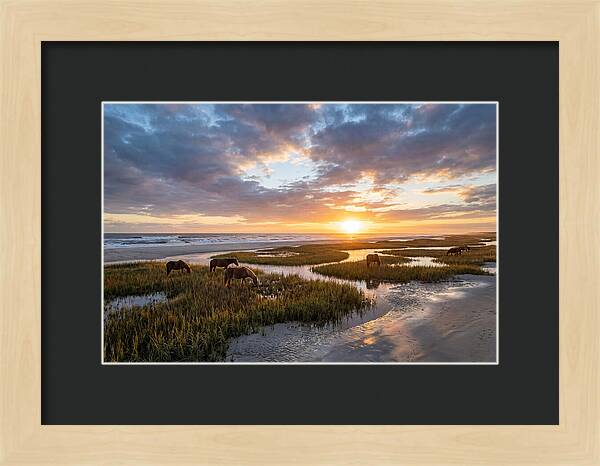 Assateague Island Tranquility