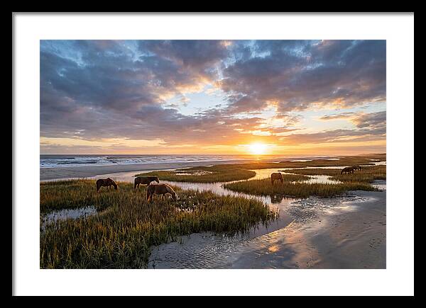 Assateague Island Tranquility
