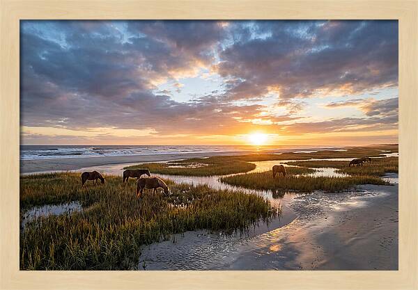 Assateague Island Tranquility
