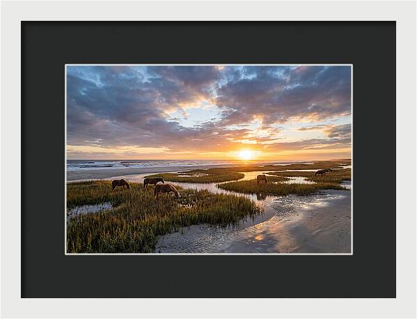 Assateague Island Tranquility