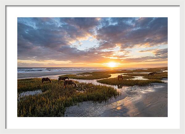 Assateague Island Tranquility