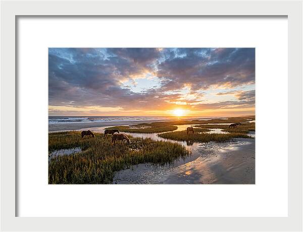 Assateague Island Tranquility