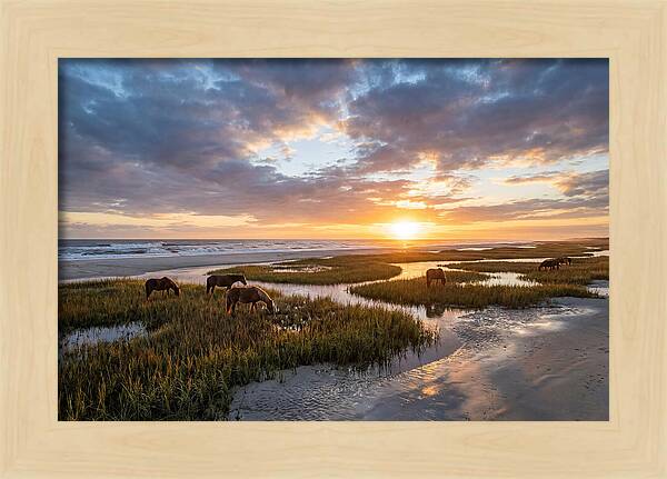 Assateague Island Tranquility