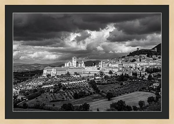 Assisi Countryside Serenity