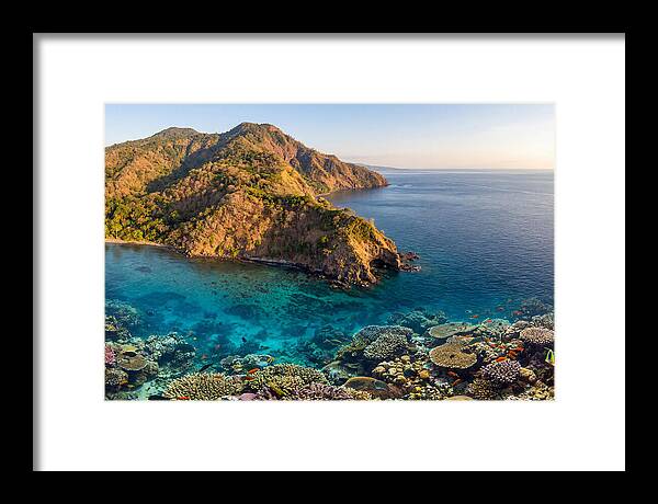 Atauro Island Coastline Serenity