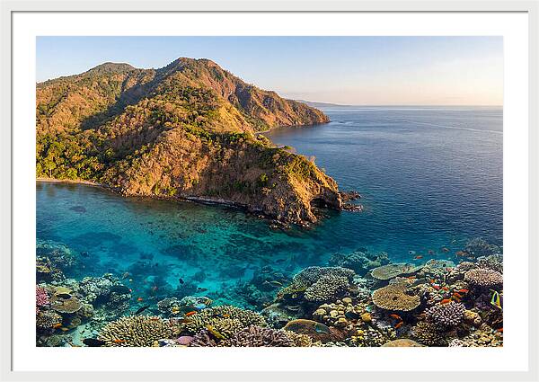 Atauro Island Coastline Serenity