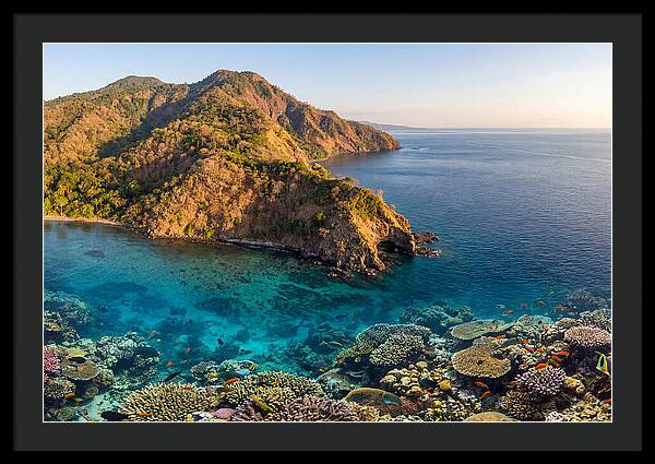 Atauro Island Coastline Serenity