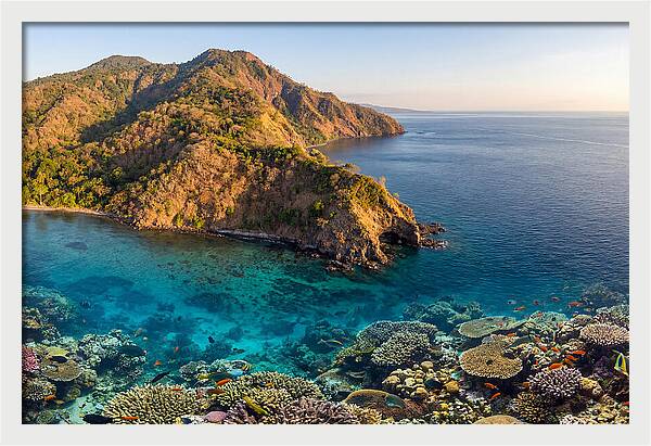 Atauro Island Coastline Serenity