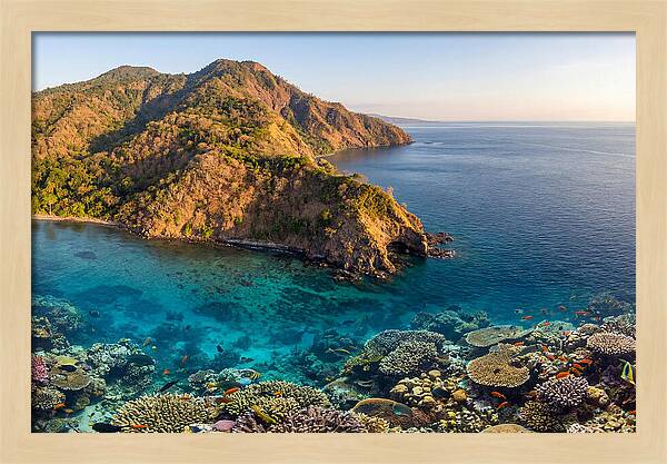 Atauro Island Coastline Serenity