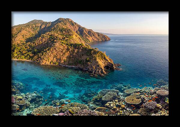 Atauro Island Coastline Serenity