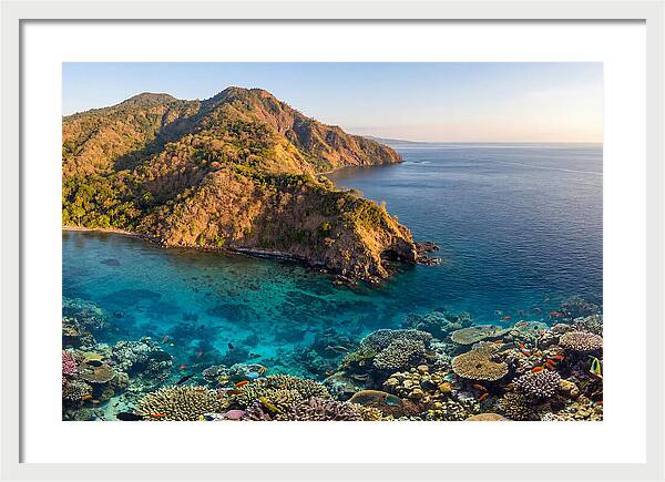 Atauro Island Coastline Serenity