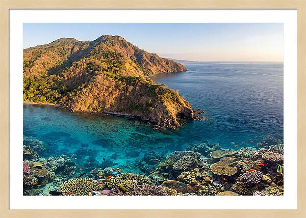 Atauro Island Coastline Serenity