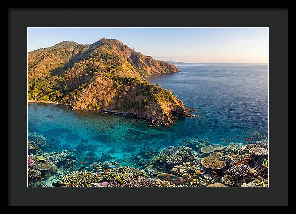 Atauro Island Coastline Serenity
