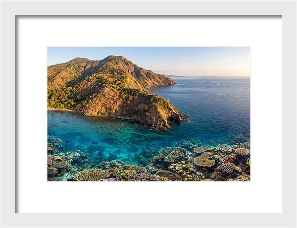 Atauro Island Coastline Serenity