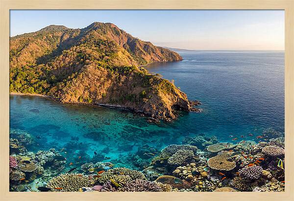 Atauro Island Coastline Serenity