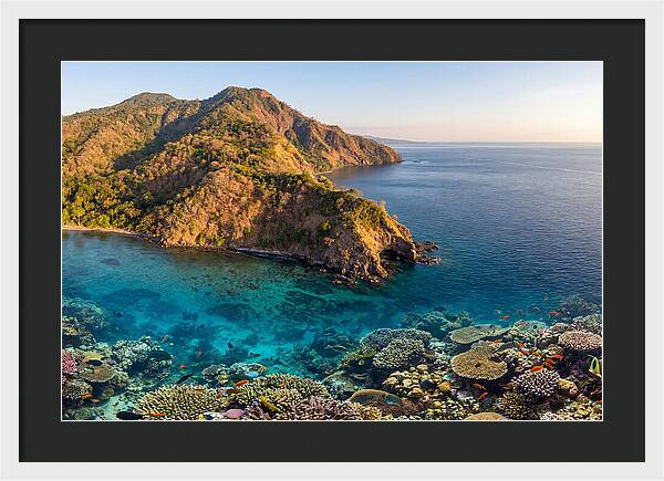 Atauro Island Coastline Serenity