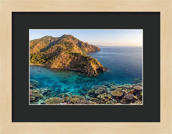 Atauro Island Coastline Serenity