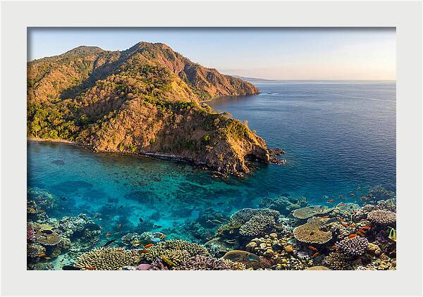 Atauro Island Coastline Serenity