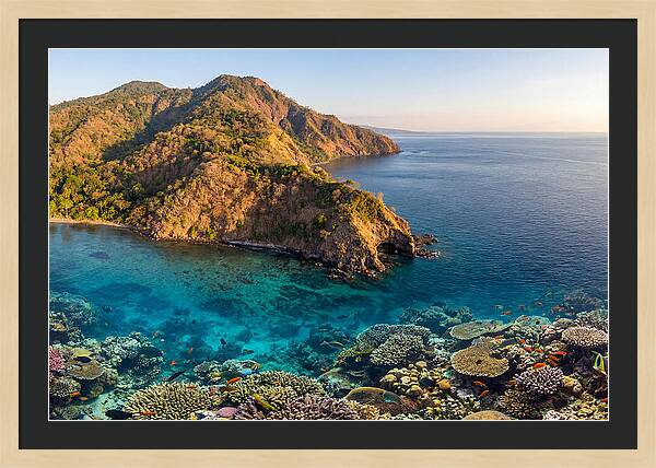 Atauro Island Coastline Serenity
