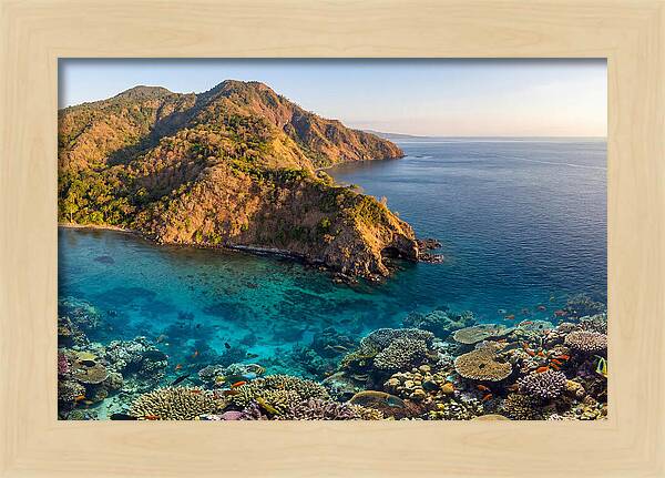 Atauro Island Coastline Serenity