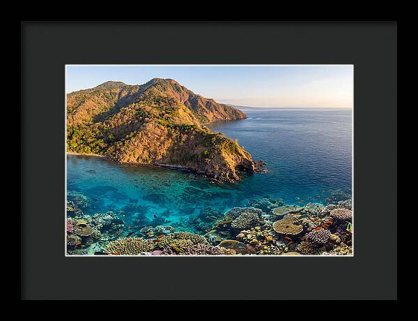 Atauro Island Coastline Serenity