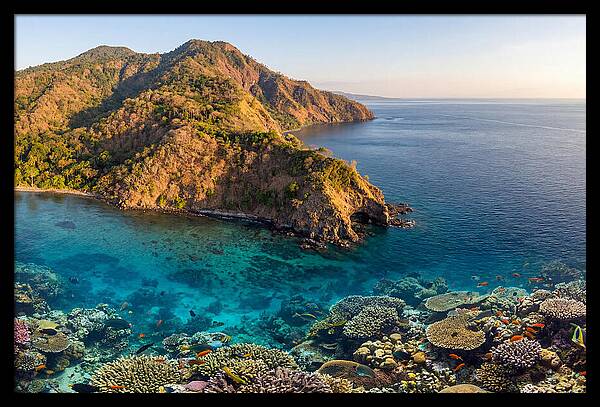 Atauro Island Coastline Serenity