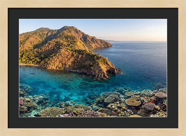Atauro Island Coastline Serenity