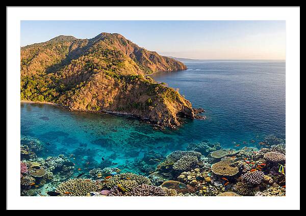 Atauro Island Coastline Serenity