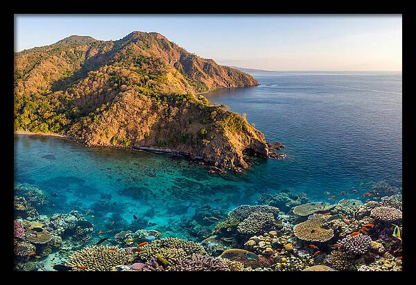 Atauro Island Coastline Serenity