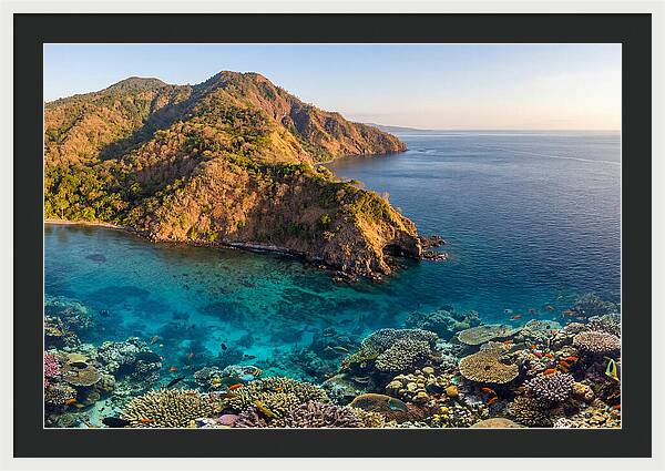 Atauro Island Coastline Serenity
