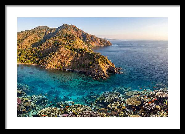 Atauro Island Coastline Serenity