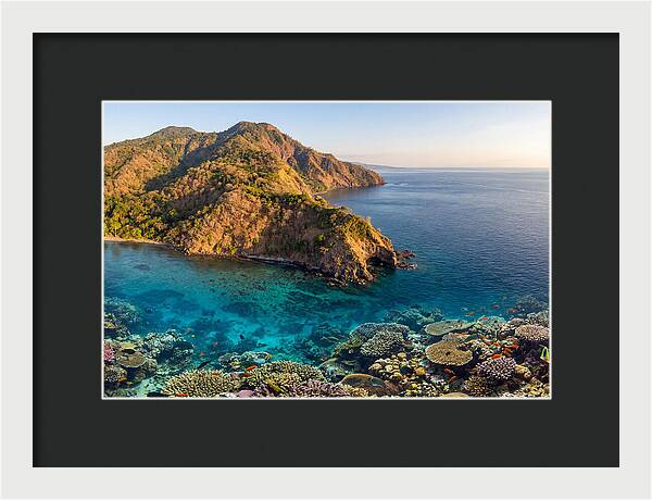 Atauro Island Coastline Serenity