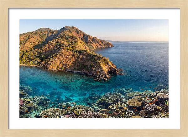 Atauro Island Coastline Serenity