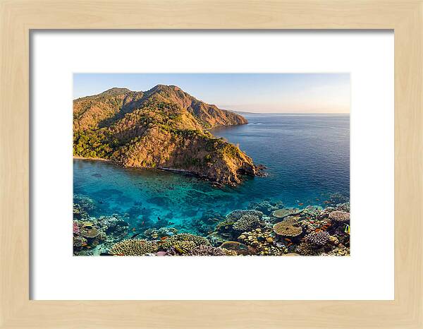 Atauro Island Coastline Serenity