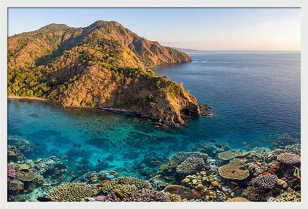 Atauro Island Coastline Serenity
