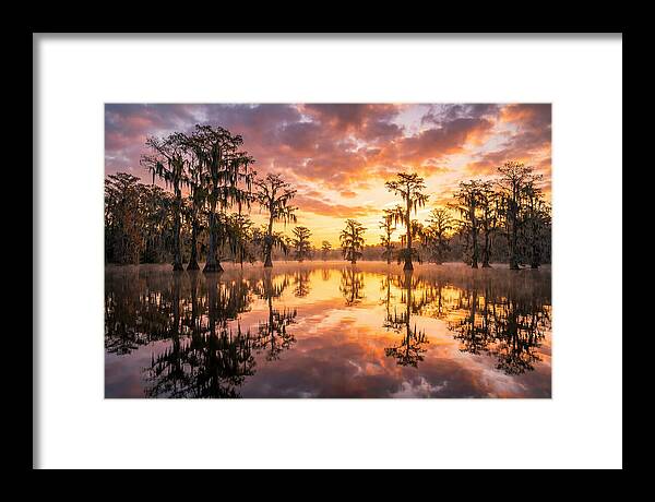 Atchafalaya Basin Serenity
