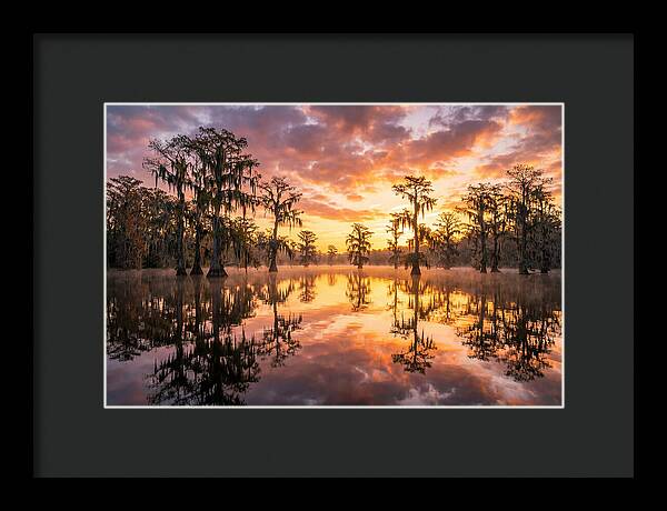 Atchafalaya Basin Serenity