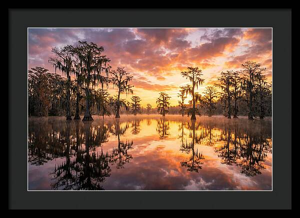 Atchafalaya Basin Serenity