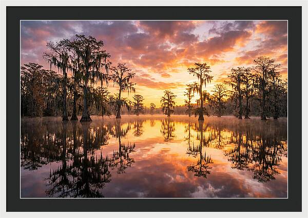 Atchafalaya Basin Serenity