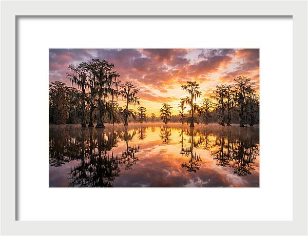 Atchafalaya Basin Serenity