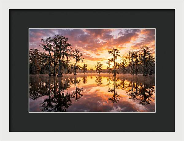 Atchafalaya Basin Serenity