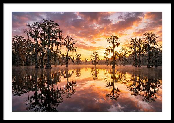 Atchafalaya Basin Serenity
