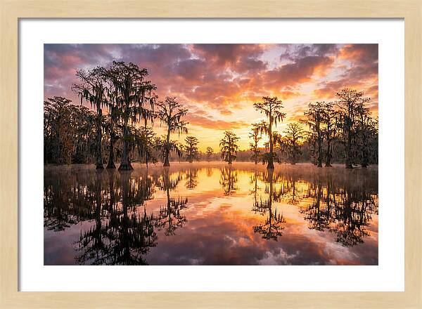 Atchafalaya Basin Serenity